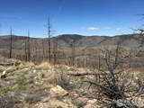 3600 Moondance Way - Photo 16