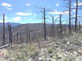 3600 Moondance Way - Photo 22