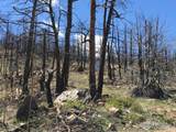 3600 Moondance Way - Photo 7