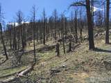 3600 Moondance Way - Photo 9