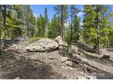 1238 Jicarilla Trl - Photo 14
