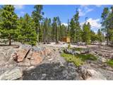 1238 Jicarilla Trl - Photo 16