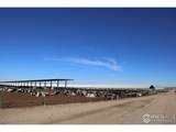 13278 County Road 28 - Photo 11