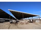 13278 County Road 28 - Photo 15