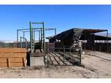 13278 County Road 28 - Photo 22