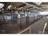 13278 County Road 28 - Photo 23