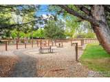 2155 Grays Peak Dr - Photo 33