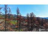 1841 Spruce Mountain Dr - Photo 10