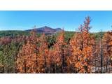 1841 Spruce Mountain Dr - Photo 3