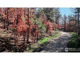 1841 Spruce Mountain Dr - Photo 4