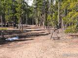 86 Timicua Ct - Photo 2