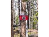 86 Timicua Ct - Photo 3