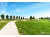 7037 Raleigh St - Photo 26
