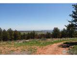 101 Lewis Ln - Photo 11