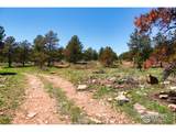 101 Lewis Ln - Photo 12