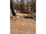101 Lewis Ln - Photo 13