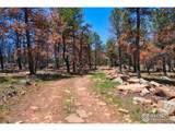 101 Lewis Ln - Photo 27