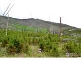 1256 Basking Dog Rd - Photo 10