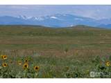 3467 Tbd County Road Carr - Photo 3