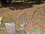 257 Jicarilla Trl - Photo 11