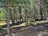 257 Jicarilla Trl - Photo 13
