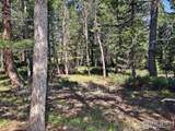 257 Jicarilla Trl - Photo 14