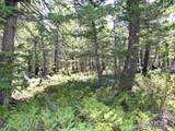 257 Jicarilla Trl - Photo 16