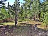 257 Jicarilla Trl - Photo 18