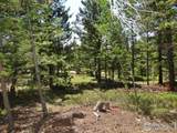257 Jicarilla Trl - Photo 22