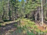 257 Jicarilla Trl - Photo 3