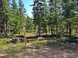257 Jicarilla Trl - Photo 9
