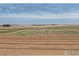  Lot 14 144TH Ave - Photo 11