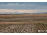  Lot 14 144TH Ave - Photo 19