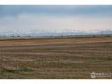  Lot 14 144TH Ave - Photo 21