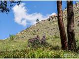 0 Wild River Rd - Photo 9
