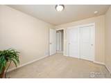 7401 Pimlico Dr - Photo 29