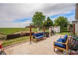 10844 Belmont St - Photo 17