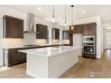 1711 Branching Canopy Dr - Photo 4