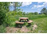 6505 Kalua Rd - Photo 33