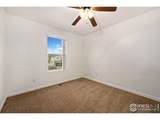 3316 Barbera St - Photo 17