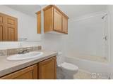 483 Carriage Dr - Photo 11