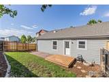 483 Carriage Dr - Photo 18