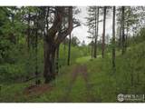 14884 Rist Canyon Rd - Photo 32