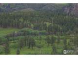 14884 Rist Canyon Rd - Photo 4