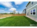 3178 Buffalo Grass Ln - Photo 21
