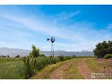 6880 Saint Vrain Rd - Photo 6