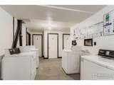 1825 Marine St - Photo 22