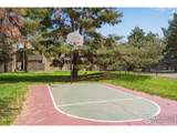 8050 Niwot Rd - Photo 35