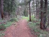 0 Peak To Peak Hwy - Photo 16