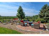 13973 Pinehurst Cir - Photo 11